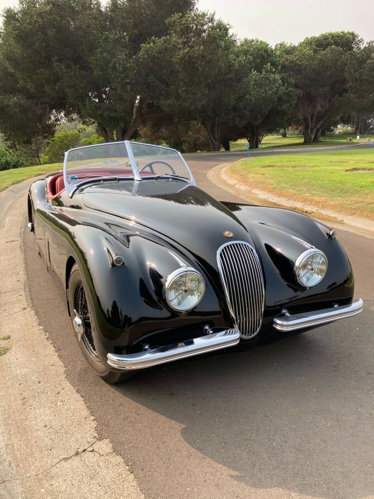 1953 Jaguar XK - photo 6