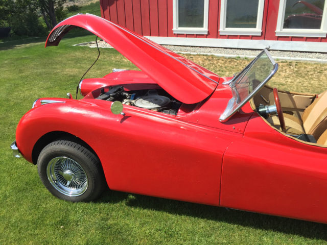 1952 Jaguar XK Coupe - photo 3