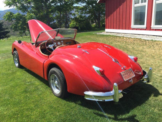 1952 Jaguar XK Coupe - photo 4