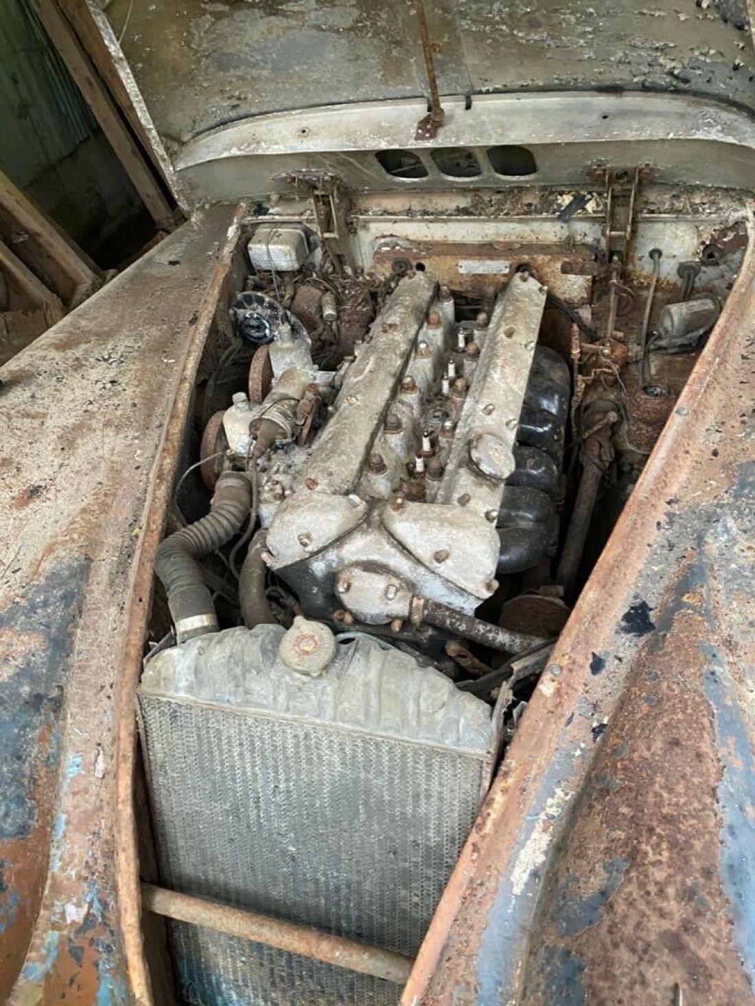 1957 Jaguar XK - photo 4