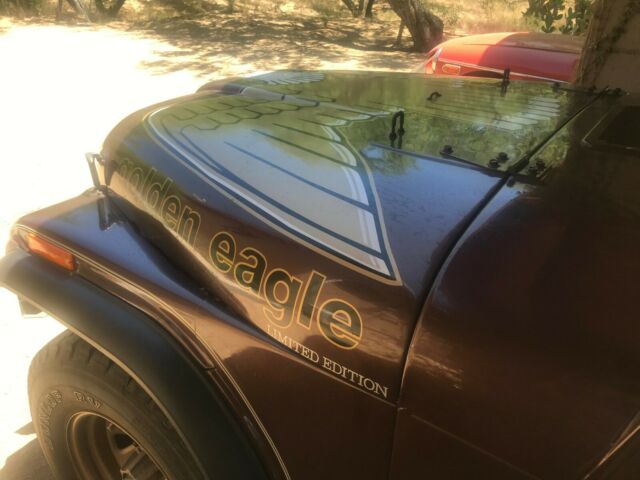 1979 Jeep CJ golden eagle - photo 11