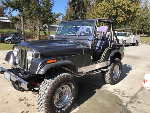 1976 Jeep CJ - photo 8