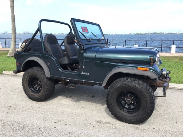 JEEP CJ5 1978 1978 Jeep CJ CJ5