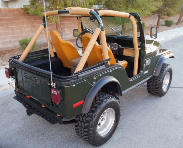 1976 Jeep CJ 5 Brother of CJ7 - photo 8