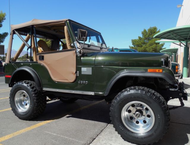 1976 Jeep CJ 5 Brother of CJ7 - photo 9