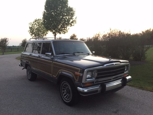 1989 Jeep Wagoneer - photo 2