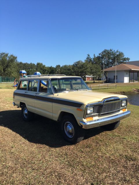 1979 Jeep Wagoneer - photo 3