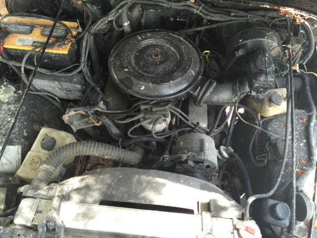 1988 Jeep Wrangler - photo 2