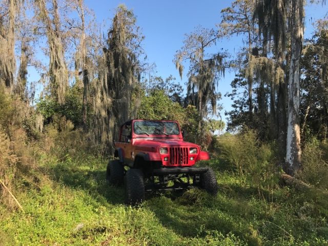 1991 Jeep Wrangler Custom - photo 5