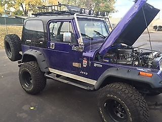 1989 Jeep Wrangler 4WD - photo 7