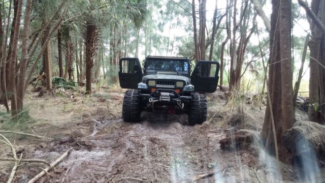 JEEP WRANGLER JY 4X4 1994 Jeep Wrangler