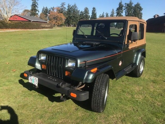 1993 Jeep Wrangler Wrangler sahara - photo 3