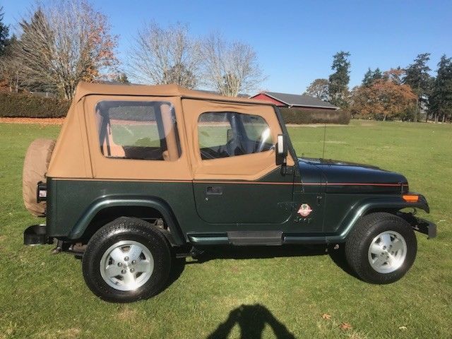 1993 Jeep Wrangler Wrangler sahara - photo 6