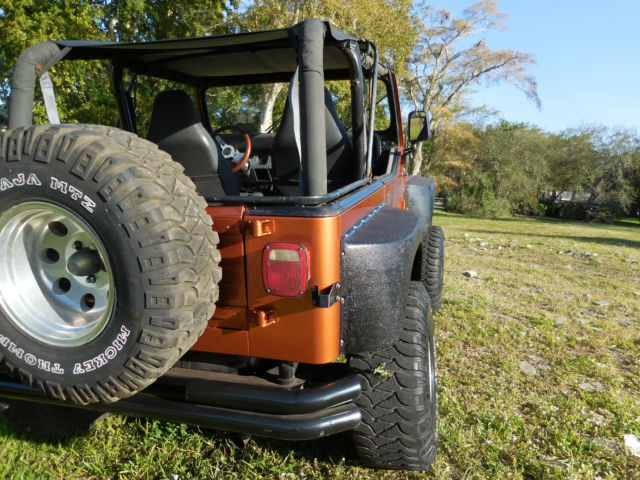 1993 Jeep Wrangler custom - photo 8