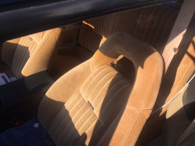 1982 Pontiac Trans Am - photo 4