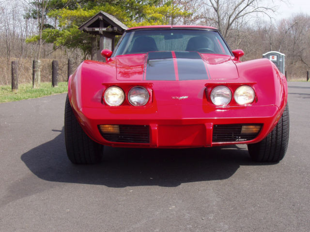 1979 Chevrolet Corvette - photo 8