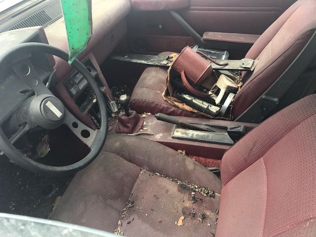 1976 Lancia Lancia Scorpion - photo 3