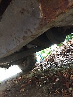 1980 Land Rover Other - photo 10