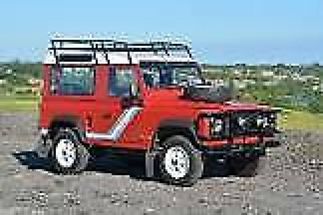 1992 Land Rover Defender County Station Wagon 90 200 TDi - photo 10
