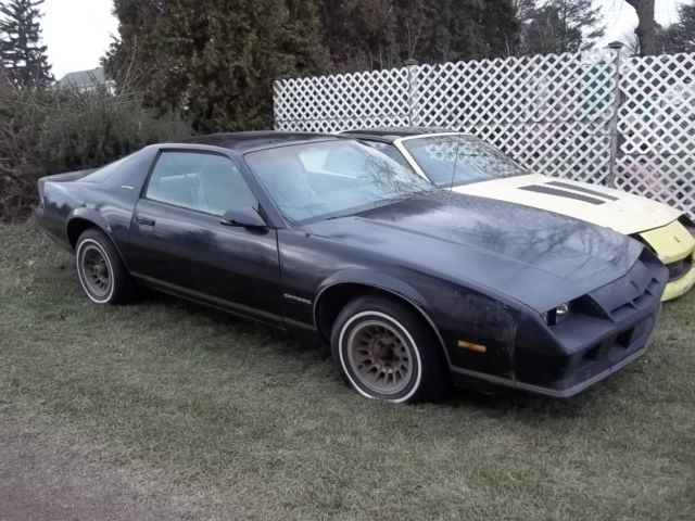 LAST CHANCE! 1983 CAMARO BERLINETTA 75,000 ORIGINAL MILES BLACK MAKE INTO IROC 1983 Chevrolet Camaro Berlinetta