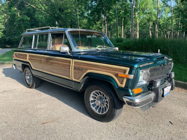 1991 Jeep Wagoneer - photo 2