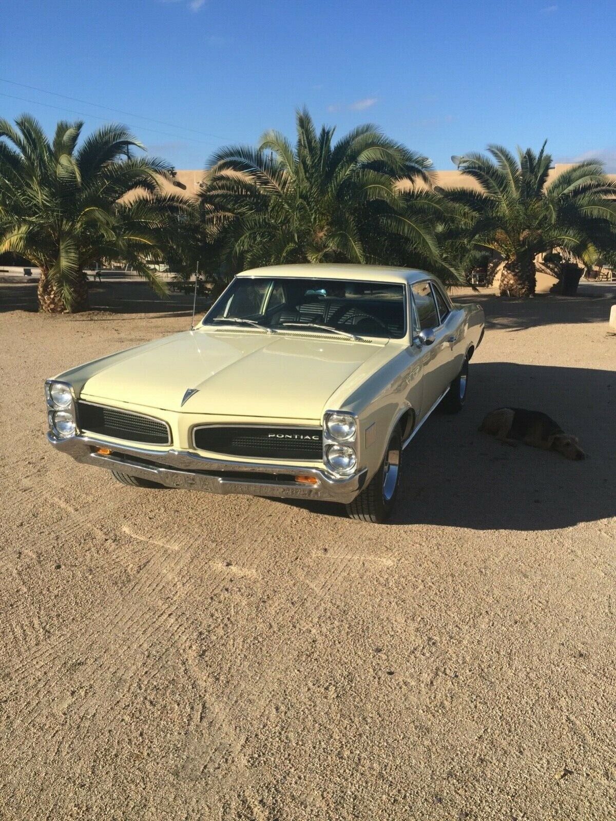 1966 Pontiac Le Mans - photo 5