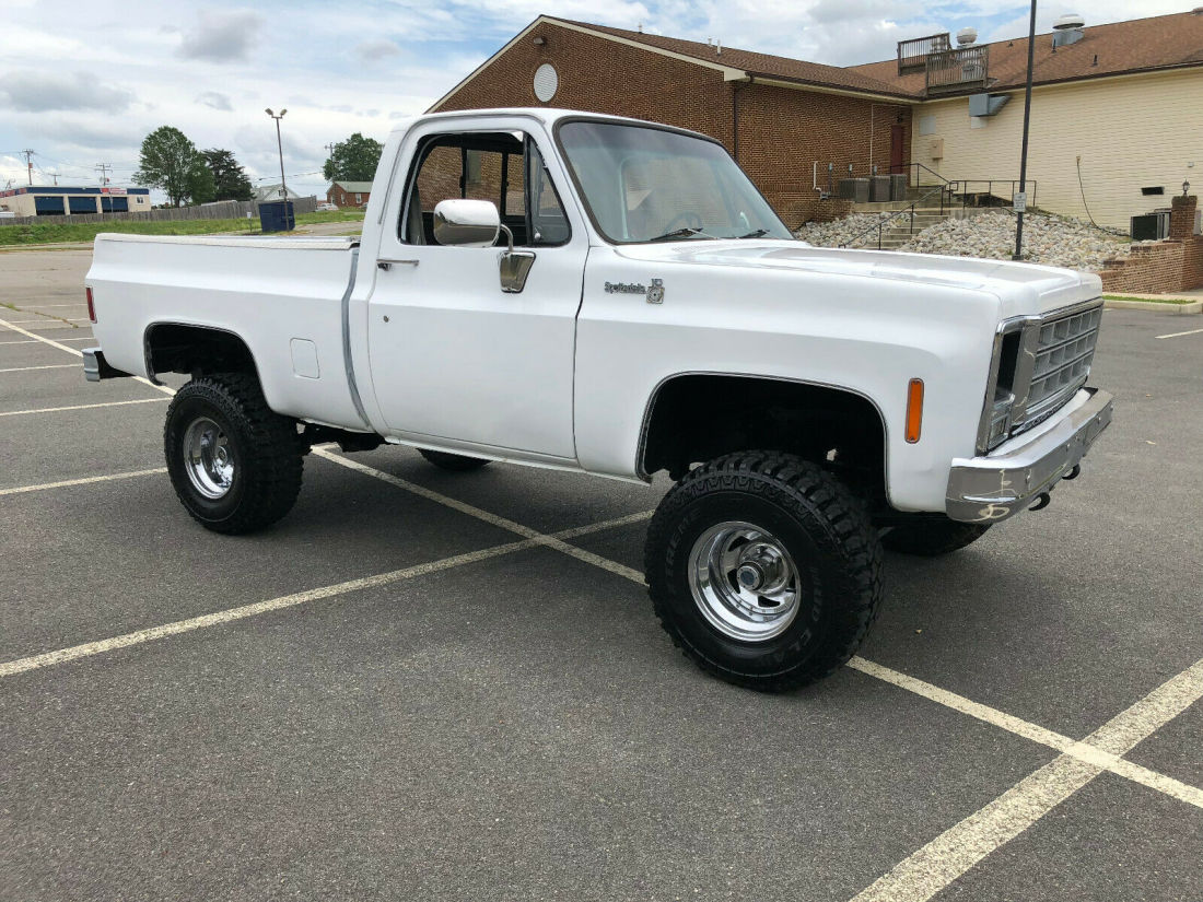 1979 Chevrolet C/K Pickup 1500 SCOTTSDALE - photo 13