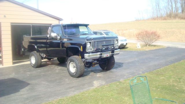 1979 GMC Sierra 1500 - photo 2