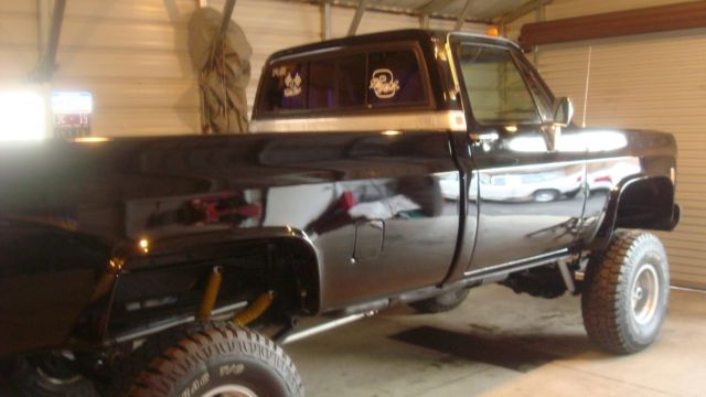 1979 GMC Sierra 1500 - photo 4