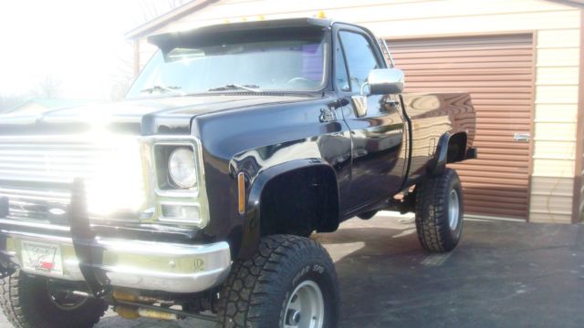 1979 GMC Sierra 1500 - photo 6