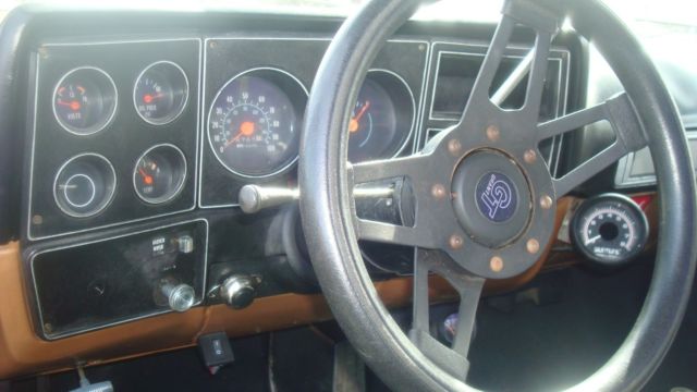 1979 GMC Sierra 1500 - photo 7