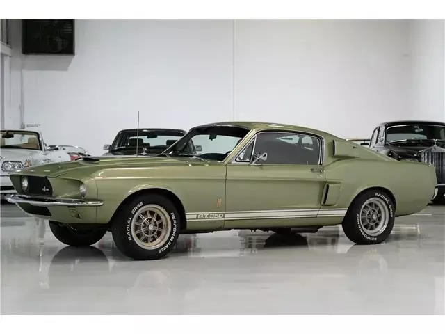 Lime Gold over Black | Please "See full description" for more photos/info 1967 Shelby GT350 Fastback