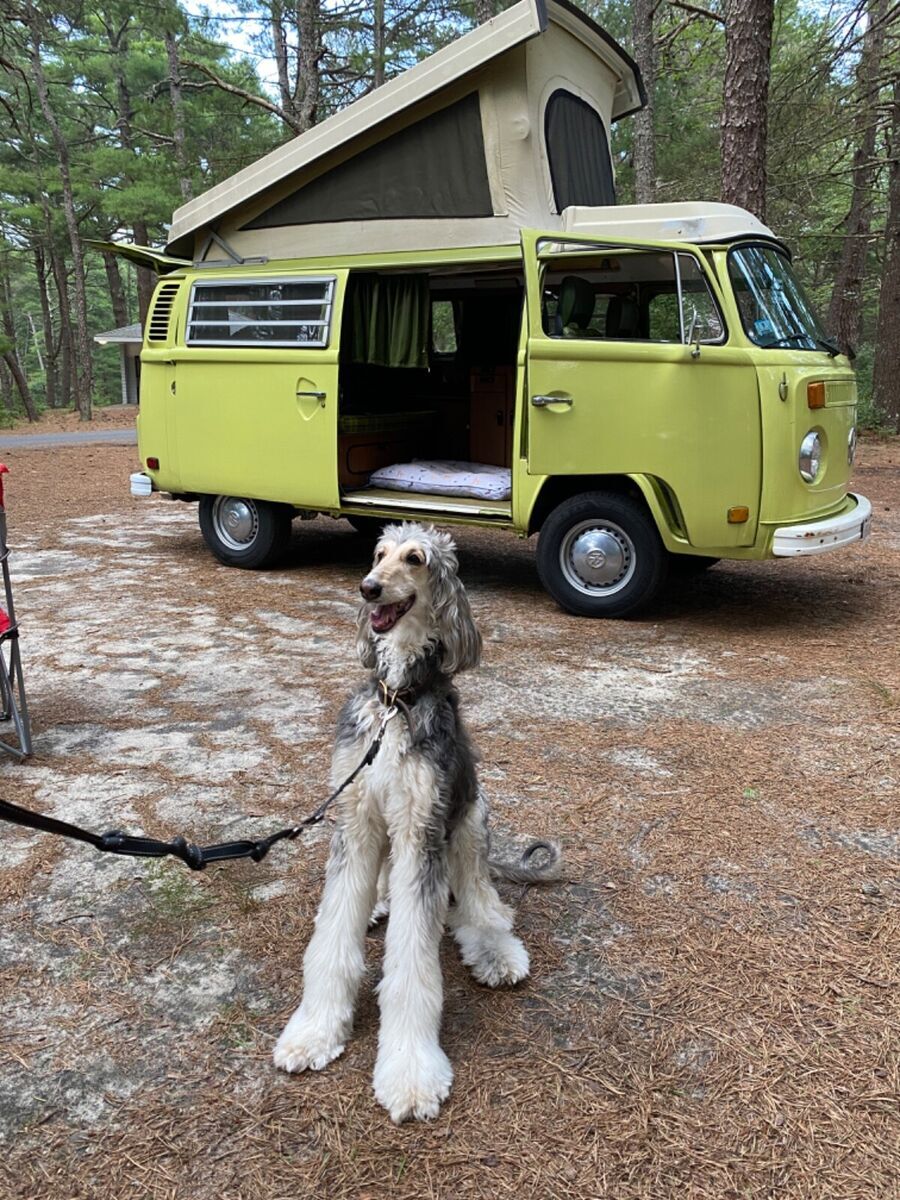 1979 Volkswagen Bus/Vanagon - photo 3