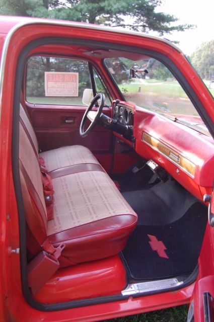 1977 Chevrolet C-10 Custom Deluxe - photo 9