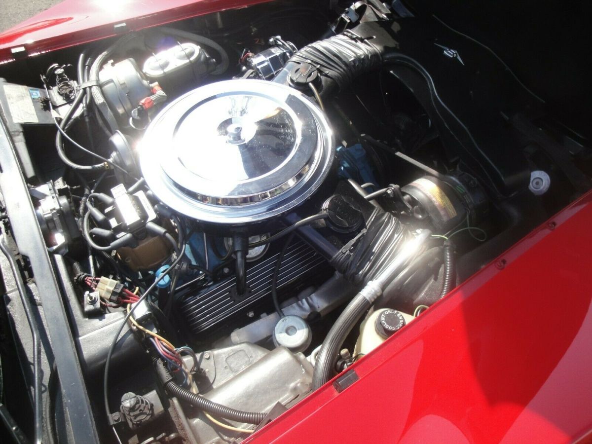1979 Chevrolet Corvette - photo 9