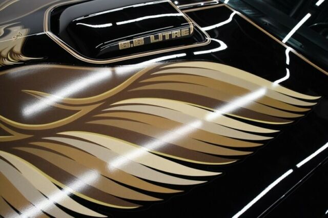 1979 Pontiac Trans Am -- - photo 8