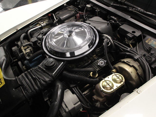 1981 Chevrolet Corvette - photo 4