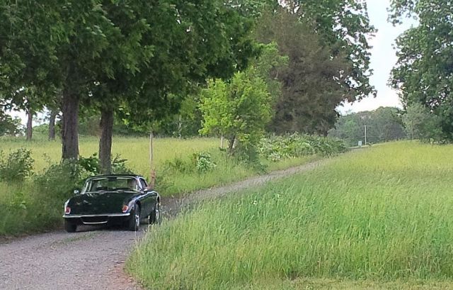 1969 Lotus Other - photo 5