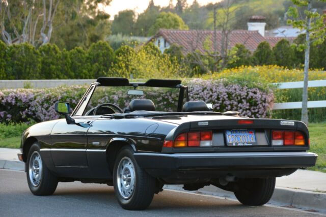 1986 Alfa Romeo Spider Graduate - photo 2
