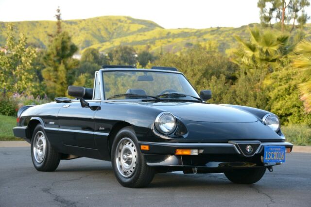 1986 Alfa Romeo Spider Graduate - photo 3
