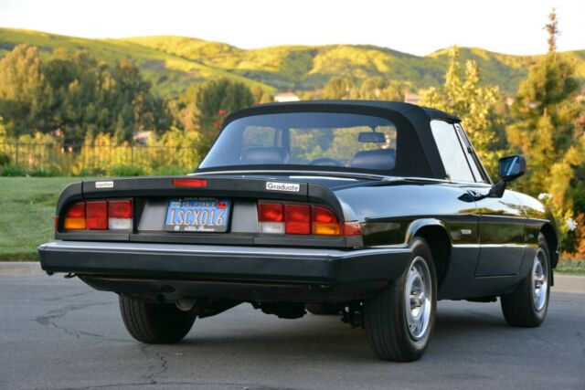 1986 Alfa Romeo Spider Graduate - photo 4