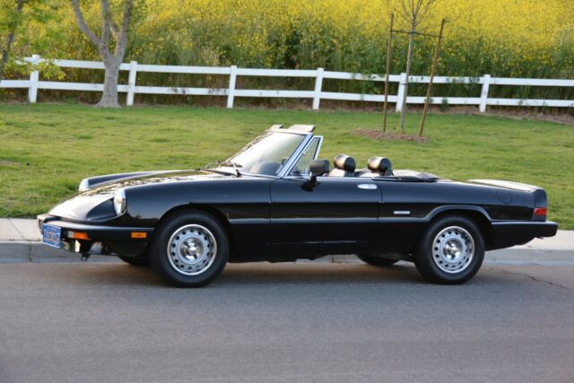 1986 Alfa Romeo Spider Graduate - photo 5
