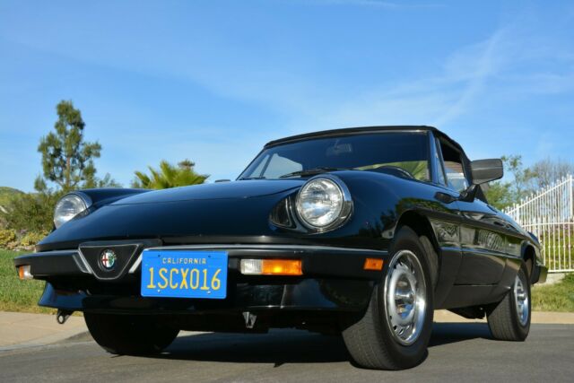 1986 Alfa Romeo Spider Graduate - photo 6