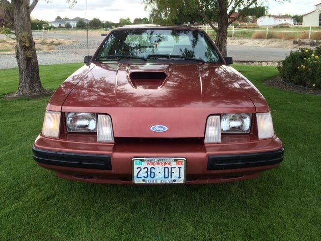 Low mile, adult owned,original, unmolested damage free SVO Mustang 1984 Ford Mustang SVO