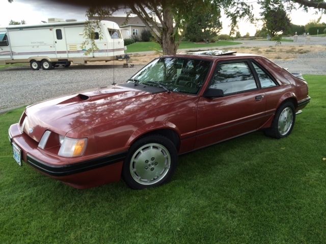 1984 Ford Mustang SVO - photo 2