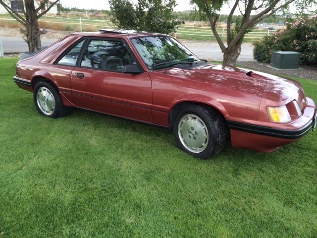 1984 Ford Mustang SVO - photo 5
