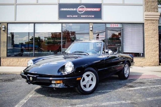 low mile free shipping collector classic italian graduate vintage finance cheap 1987 Alfa Romeo Spider