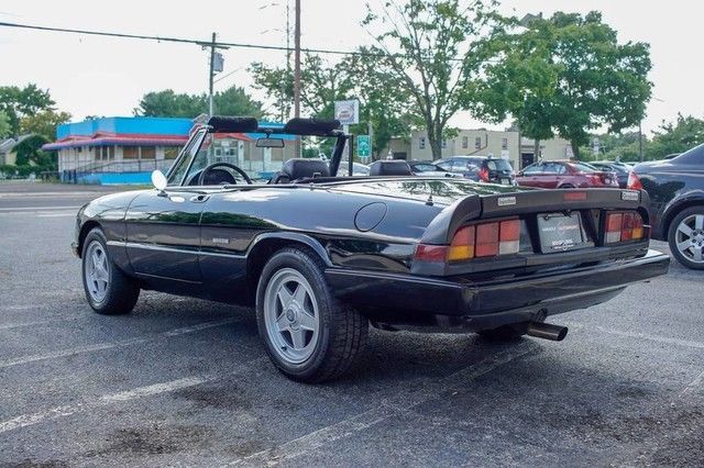 1987 Alfa Romeo Spider - photo 6
