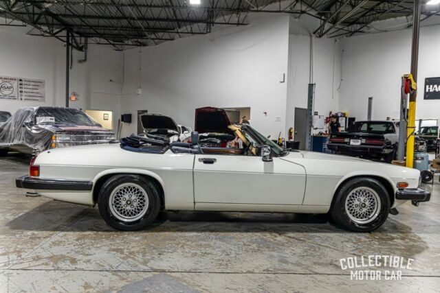 1989 Jaguar XJS - photo 9