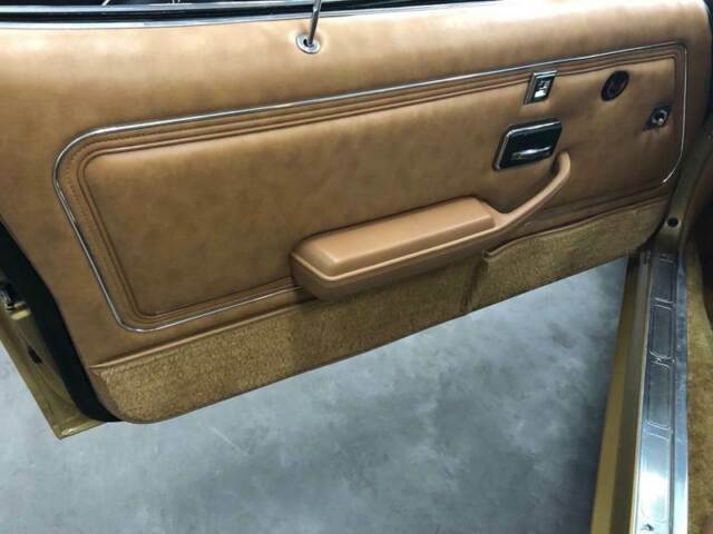 1978 Pontiac Trans Am - photo 12